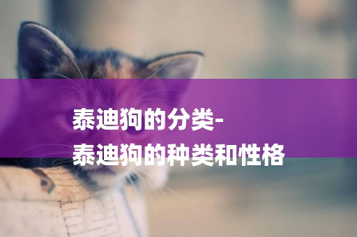 泰迪狗的分類-
泰迪狗的種類和性格