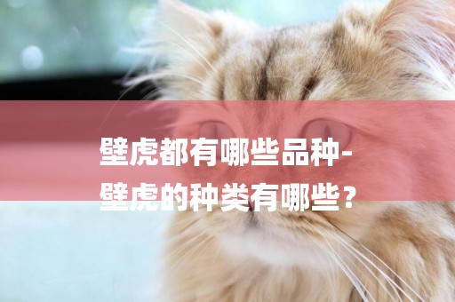 壁虎都有哪些品種-
壁虎的種類有哪些？