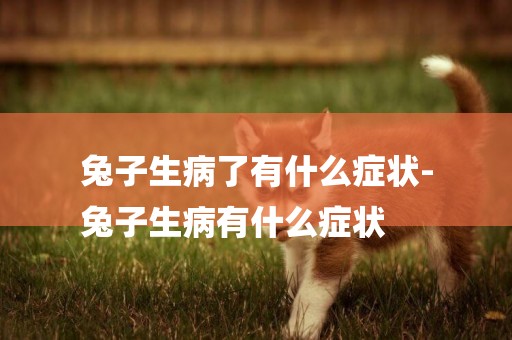 兔子生病了有什么癥狀-
兔子生病有什么癥狀