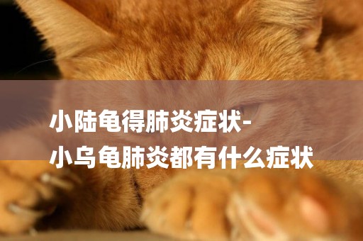 小陸龜得肺炎癥狀-
小烏龜肺炎都有什么癥狀