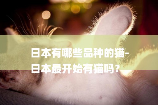 日本有哪些品種的貓-
日本最開始有貓嗎？