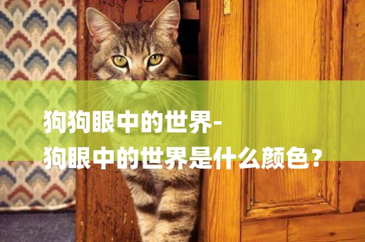狗狗眼中的世界-
狗眼中的世界是什么顏色？