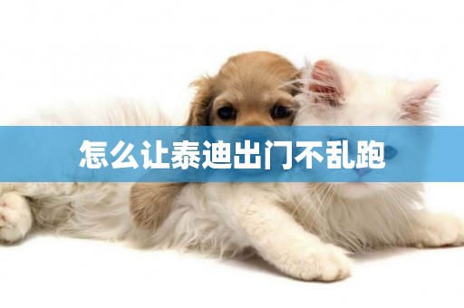 怎么讓泰迪出門不亂跑