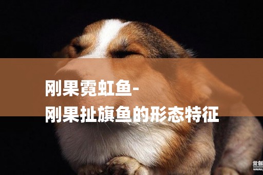 剛果霓虹魚-
剛果扯旗魚的形態特征