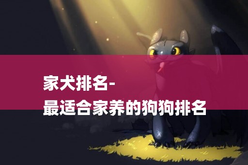 家犬排名-
最適合家養的狗狗排名