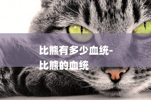 比熊有多少血統-
比熊的血統