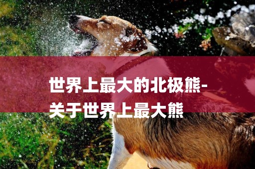 世界上最大的北極熊-
關于世界上最大熊