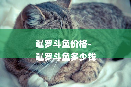 暹羅斗魚價格-
暹羅斗魚多少錢