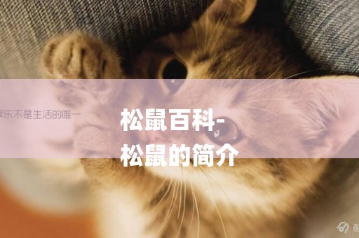 松鼠百科-
松鼠的簡介