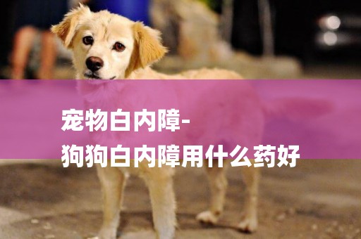 寵物白內障-
狗狗白內障用什么藥好
