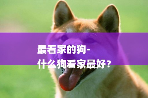 最看家的狗-
什么狗看家最好？