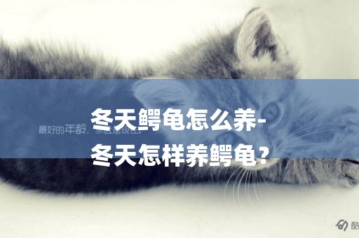 冬天鱷龜怎么養-
冬天怎樣養鱷龜？