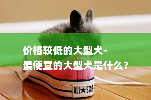價格較低的大型犬-
最便宜的大型犬是什么？