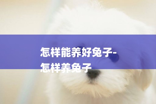 怎樣能養好兔子-
怎樣養兔子