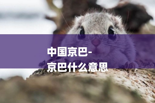 中國京巴-
京巴什么意思