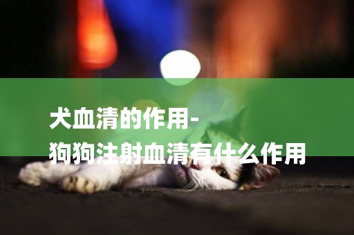 犬血清的作用-
狗狗注射血清有什么作用