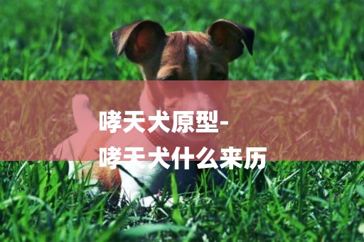 哮天犬原型-
哮天犬什么來歷