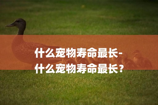 什么寵物壽命最長-
什么寵物壽命最長？