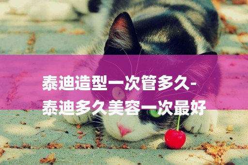 泰迪造型一次管多久-
泰迪多久美容一次最好