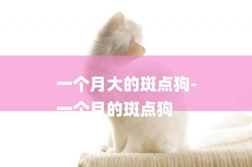 一個月大的斑點狗-
一個月的斑點狗