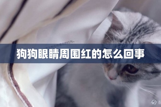 狗狗眼睛周圍紅的怎么回事