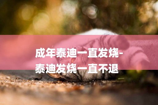 成年泰迪一直發燒-
泰迪發燒一直不退