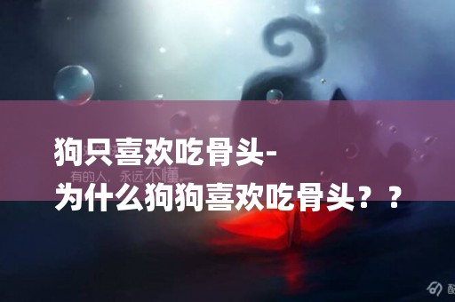 狗只喜歡吃骨頭-
為什么狗狗喜歡吃骨頭？？