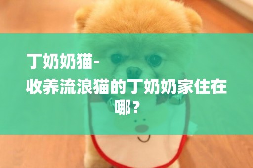丁奶奶貓-
收養流浪貓的丁奶奶家住在哪？