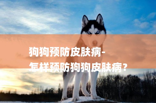 狗狗預防皮膚病-
怎樣預防狗狗皮膚病？