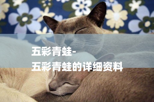 五彩青蛙-
五彩青蛙的詳細資料