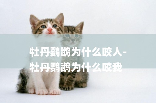 牡丹鸚鵡為什么咬人-
牡丹鸚鵡為什么咬我