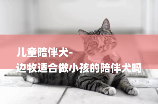 兒童陪伴犬-
邊牧適合做小孩的陪伴犬嗎