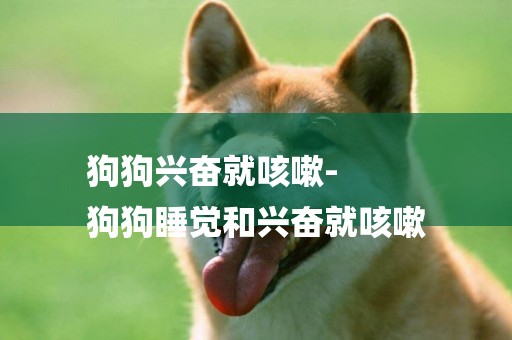 狗狗興奮就咳嗽-
狗狗睡覺和興奮就咳嗽