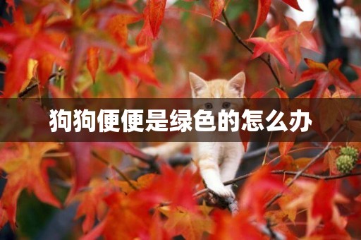 狗狗便便是綠色的怎么辦