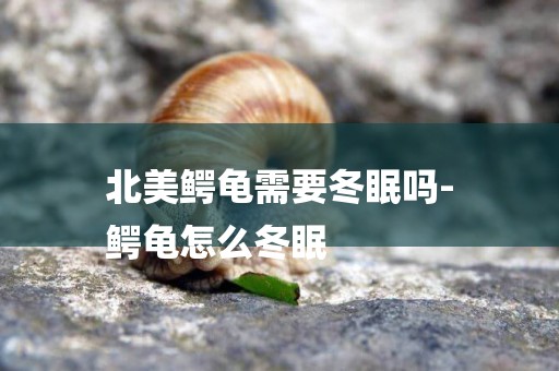 北美鱷龜需要冬眠嗎-
鱷龜怎么冬眠