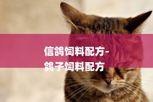 信鴿飼料配方-
鴿子飼料配方