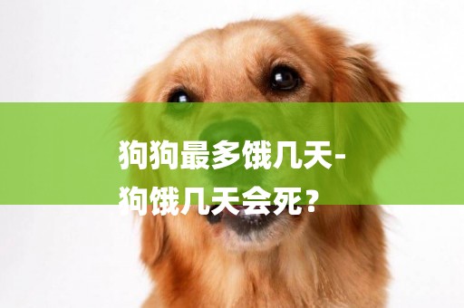 狗狗最多餓幾天-
狗餓幾天會死？