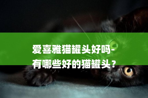 愛喜雅貓罐頭好嗎-
有哪些好的貓罐頭？