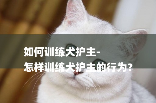 如何訓練犬護主-
怎樣訓練犬護主的行為？