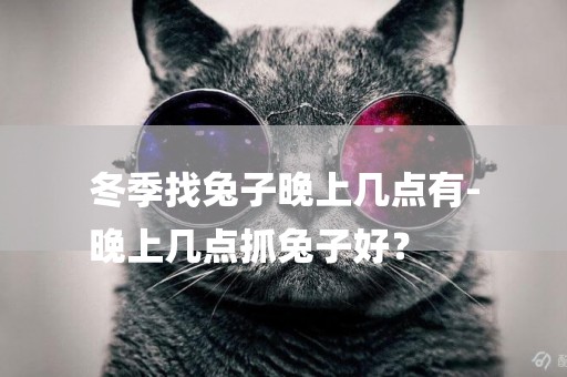 冬季找兔子晚上幾點有-
晚上幾點抓兔子好？