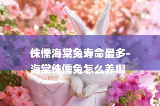 侏儒海棠兔壽命最多-
海棠侏儒兔怎么養啊