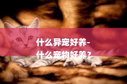 什么異寵好養-
什么寵物好養？