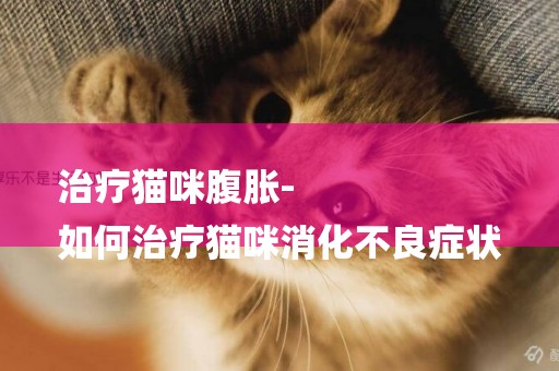 治療貓咪腹脹-
如何治療貓咪消化不良癥狀
