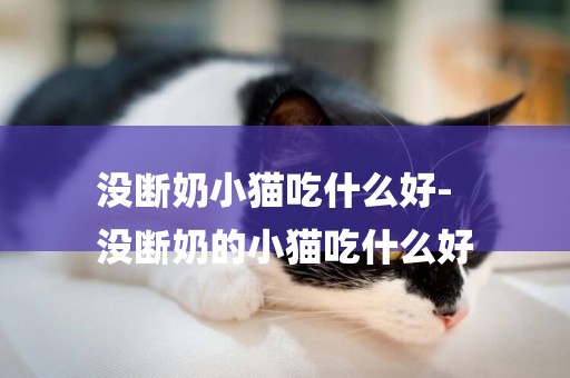 沒斷奶小貓吃什么好-
沒斷奶的小貓吃什么好