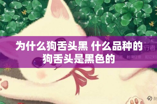 為什么狗舌頭黑 什么品種的狗舌頭是黑色的