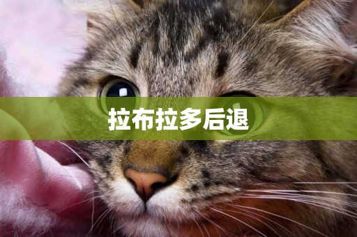 拉布拉多后退
