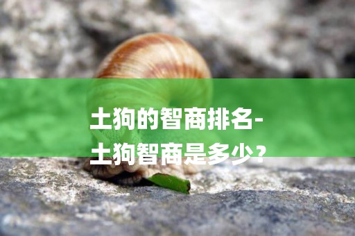 土狗的智商排名-
土狗智商是多少？