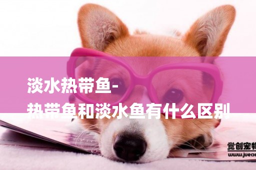 淡水熱帶魚-
熱帶魚和淡水魚有什么區別