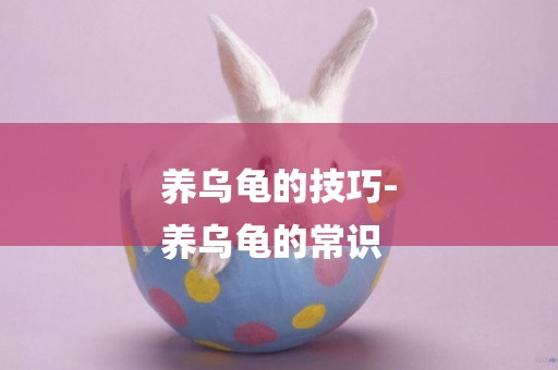 養烏龜的技巧-
養烏龜的常識
