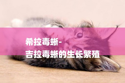 希拉毒蜥-
吉拉毒蜥的生長繁殖